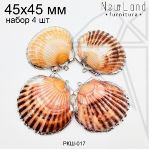 Ракушки натуральные НАБОР 4 шт пятнисто-серебристые 45х45 мм